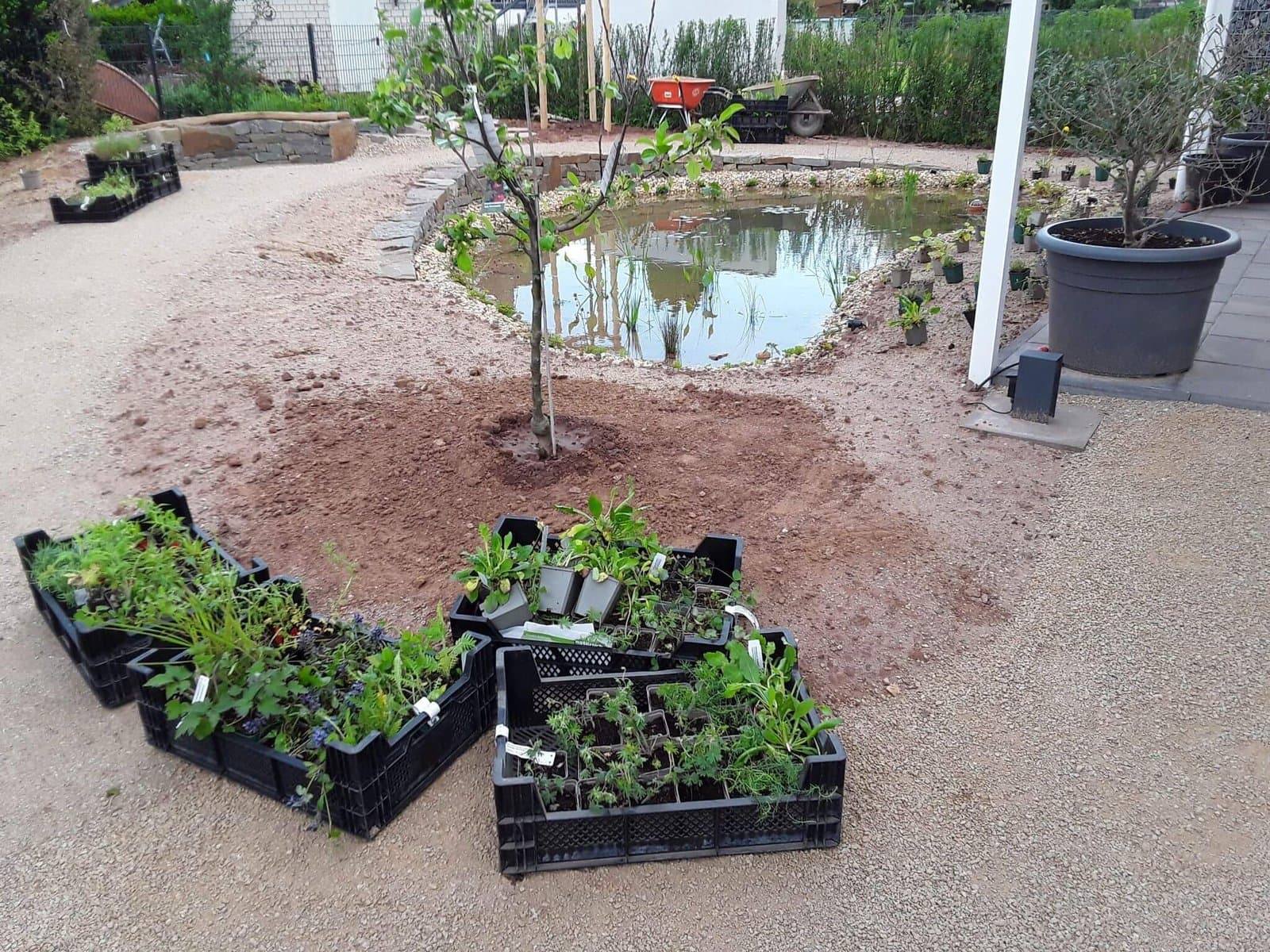 Projektgarten – bepflanzter Bereich