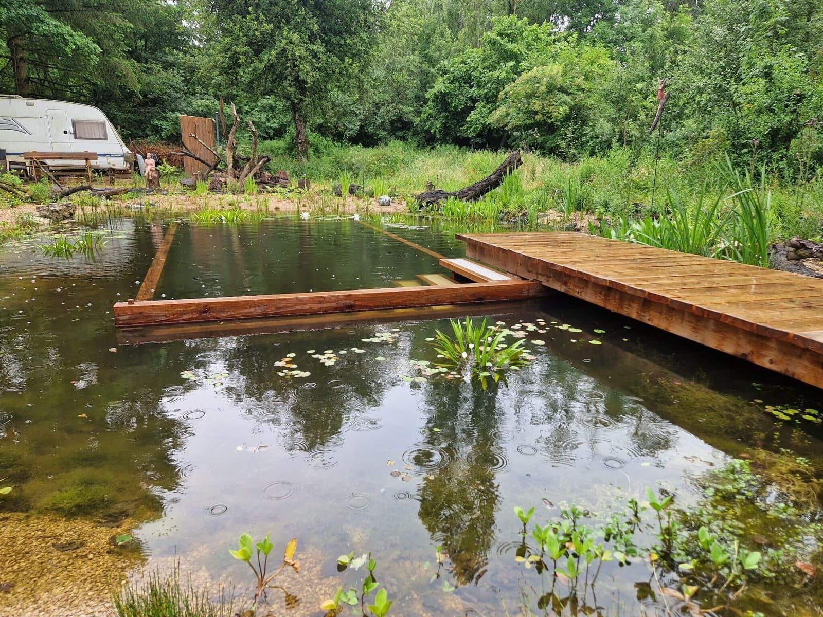 Schwimmteich / Naturpool in Bad Münstereifel