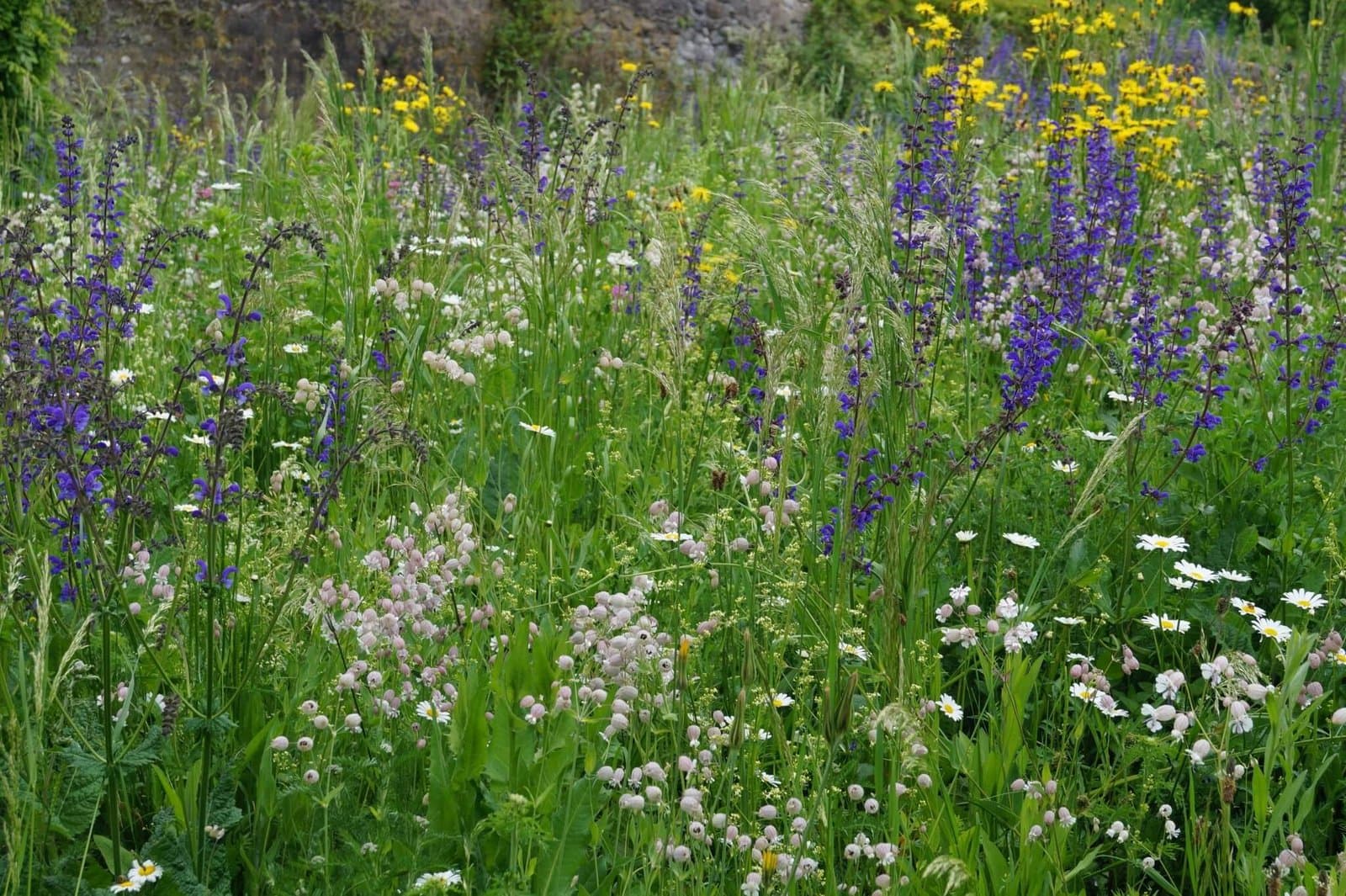 Ökologische Pflanzung im Bioland-Garten